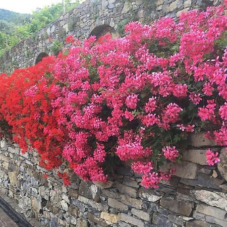 Villa Olivari - Apt La Lavanda Camogli Eksteriør billede
