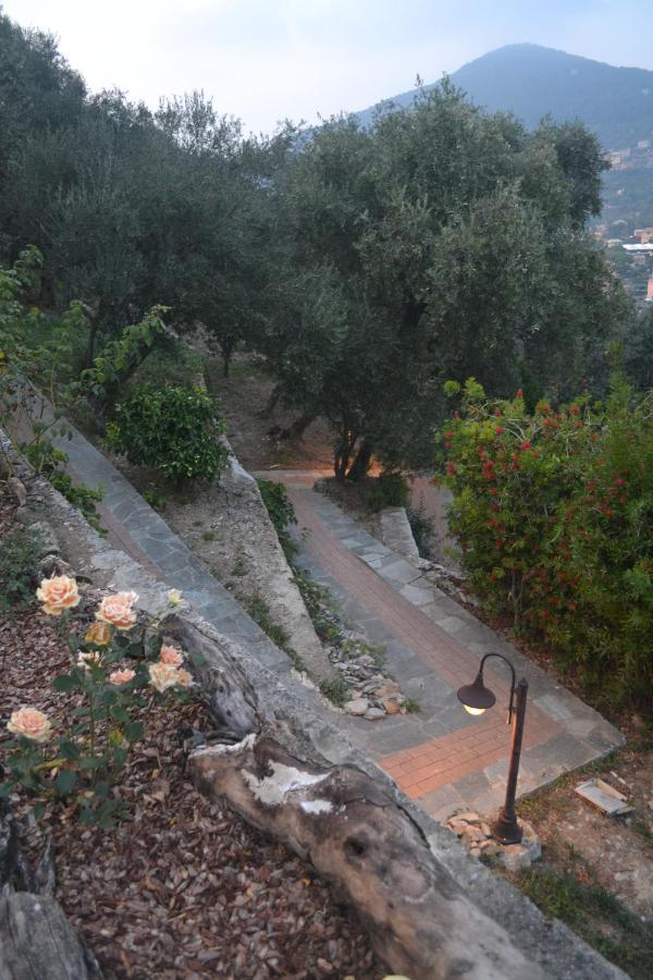 Villa Olivari - Apt La Lavanda Camogli Eksteriør billede