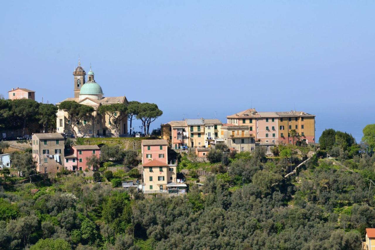 Villa Olivari - Apt La Lavanda Camogli Eksteriør billede
