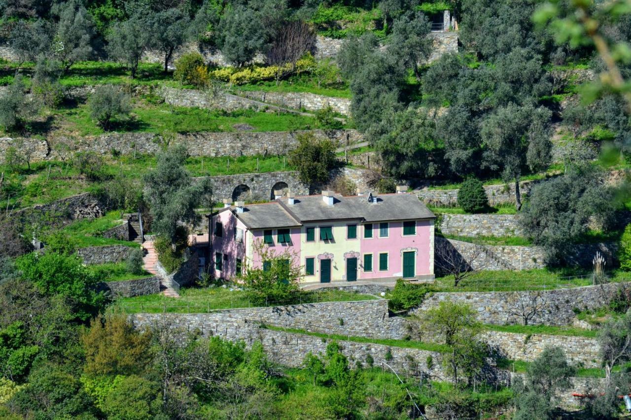 Villa Olivari - Apt La Lavanda Camogli Eksteriør billede