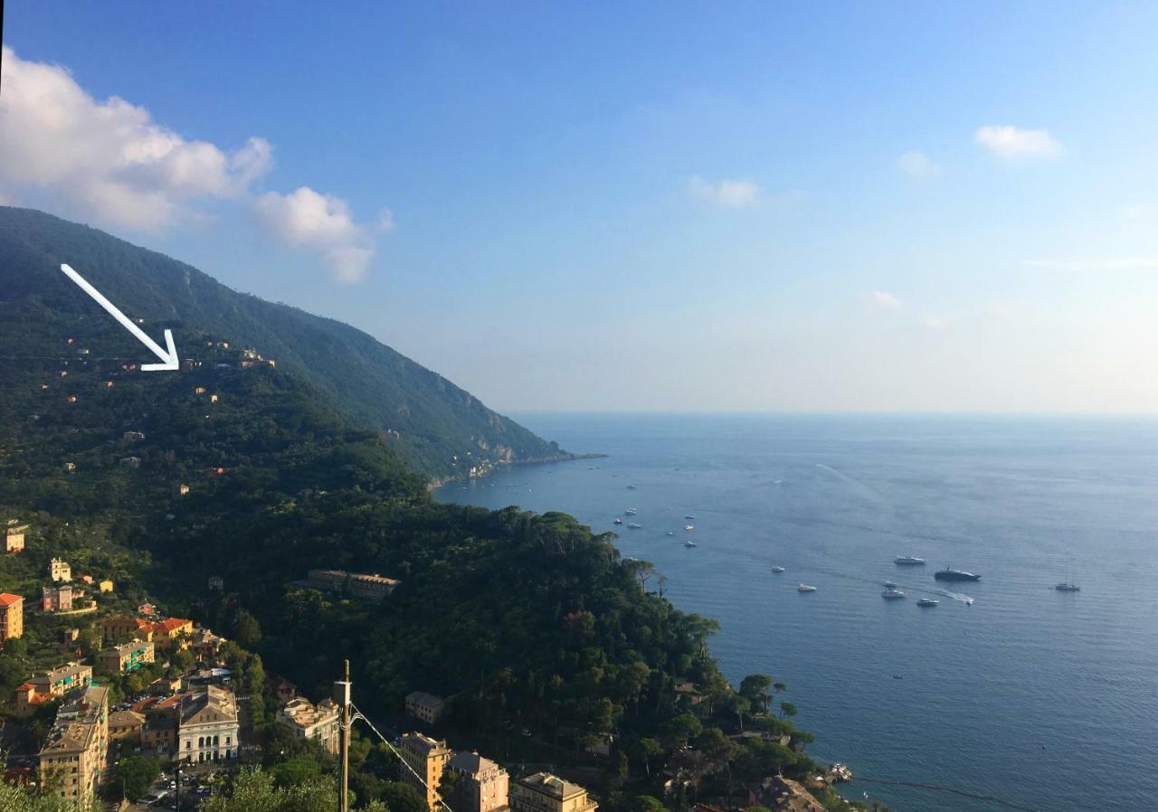 Villa Olivari - Apt La Lavanda Camogli Eksteriør billede