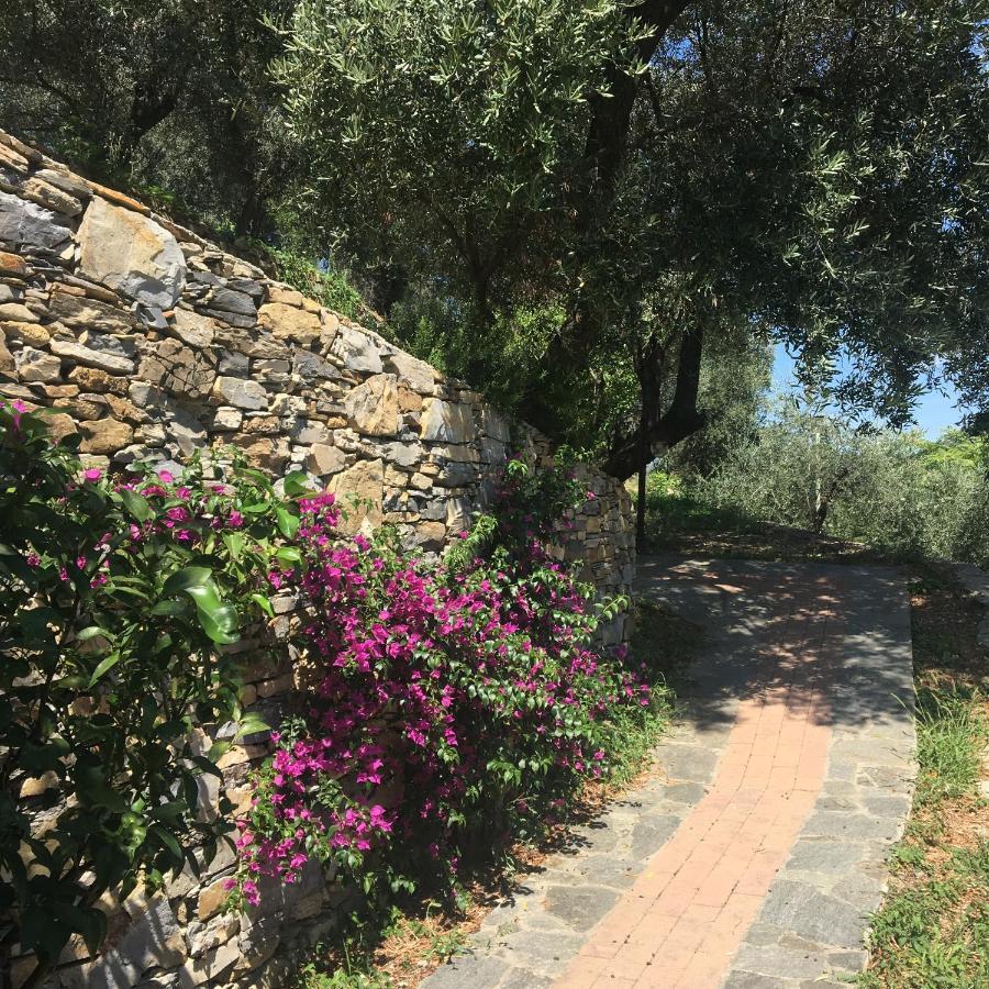 Villa Olivari - Apt La Lavanda Camogli Eksteriør billede